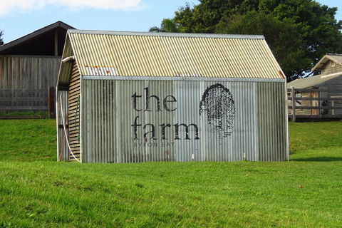 3-Hour Small-Group Byron Bay Tour - Tourism TAS 3