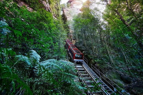 Blue Mountains Private Tour With Kangaroos & Koala Encounter - Hobart Tourism 1