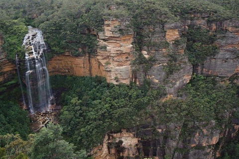 Blue Mountains Private Tour With Kangaroos & Koala Encounter - Hobart Tourism 2