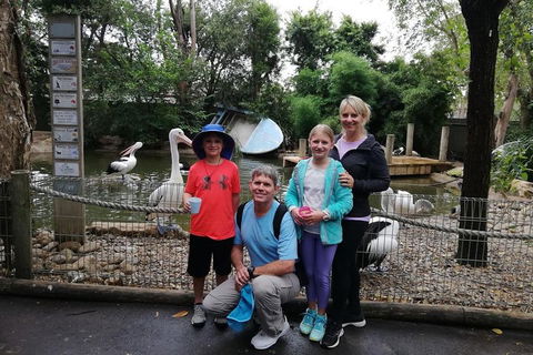 Blue Mountains Private Tour With Kangaroos & Koala Encounter - Hobart Tourism 4