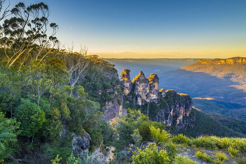 Blue Mountains Private Tour With Kangaroos & Koala Encounter - Hobart Tourism 5