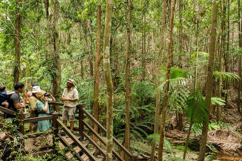 Fraser Explorer K'gari 2-Day Tour - Tourism TAS 5