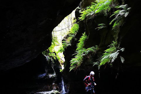 Full-Day Canyoning Experience At Stunning Empress Canyon - Hobart Tourism 2