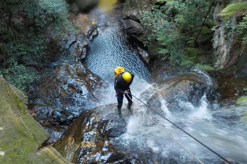Full-Day Canyoning Experience At Stunning Empress Canyon - Hobart Tourism 4