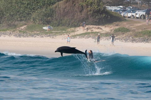 Cruise With Dolphins In Byron Bay - Hobart Tourism 3