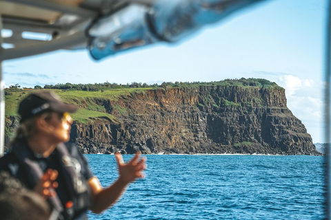 Cruise With Dolphins In Byron Bay - Hobart Tourism 4