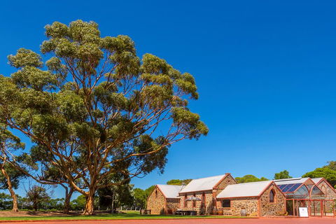 McLaren Vale And Glenelg Wine Tasting And Sightseeing (Half-day Afternoon) - Tourism TAS 5