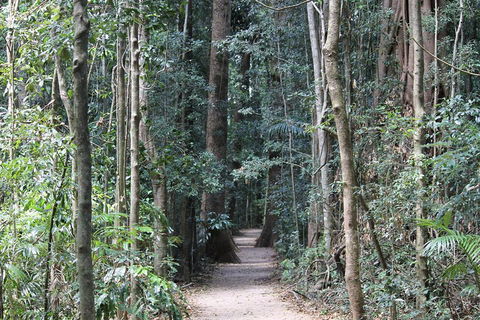 Eumundi Markets And Sunshine Coast Day Trip From Brisbane - Tourism TAS 4
