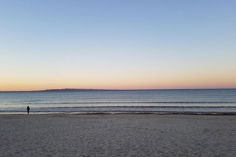 Noosa And Sunshine Coast Hinterland Day Trip From Brisbane - Tourism TAS 5