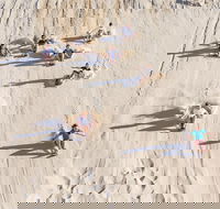 Unlimited Sandboarding - Hobart Tourism