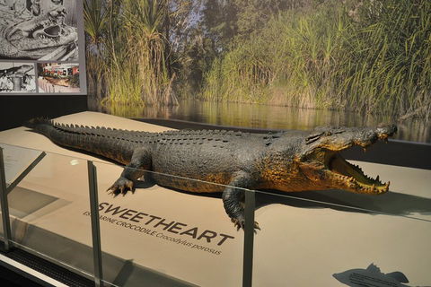 Explore Darwin City Sights Including Key Attractions - Tourism TAS 2