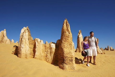 Pinnacles Day Trip From Perth Including Yanchep National Park - Hobart Tourism 0