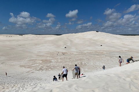 Pinnacles Day Trip From Perth Including Yanchep National Park - Hobart Tourism 2