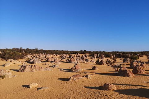 Pinnacles Day Trip From Perth Including Yanchep National Park - Hobart Tourism 3