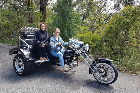 Blue Mountains 1-Hour Trike Tour Of Three Sisters - Tourism TAS 1