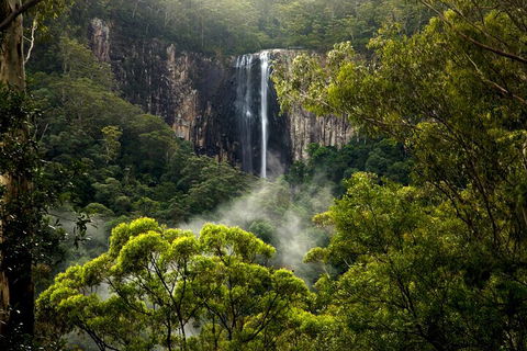 Hinterland Magic & Glow-worm Experience - Hobart Tourism 4