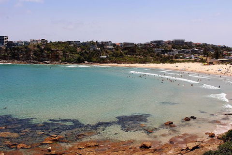 Half Day Manly Beach And More - Tourism TAS 2