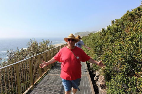 Bondi Beach And Beyond - Hobart Tourism 4