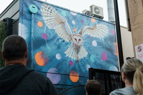 Jimmy C Street Art Walking Tour - Tourism TAS 1