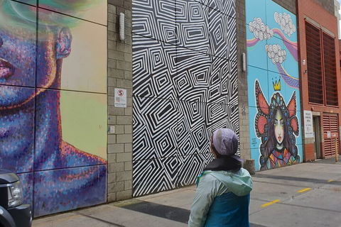 Jimmy C Street Art Walking Tour - Tourism TAS 2