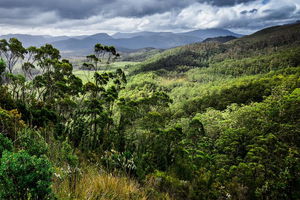 3-Day Tour to the Falls, Mountains, Lake & More of West Coast Tasmania