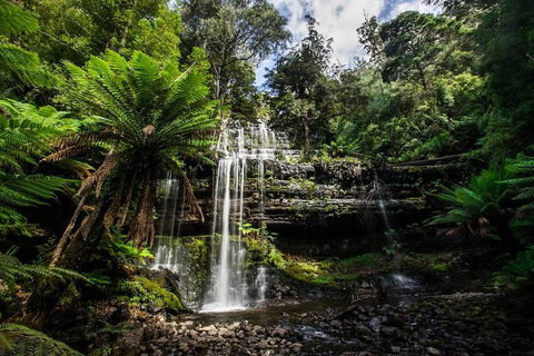 3-Day Tour To The Falls, Mountains, Lake & More Of West Coast Tasmania - Tourism TAS 4