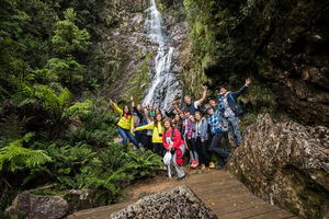 5-Day Lap of Tasmania Tour from Hobart (flexible ticket)