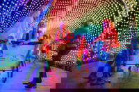Christmas Lights Rickshaw Tour in Perth