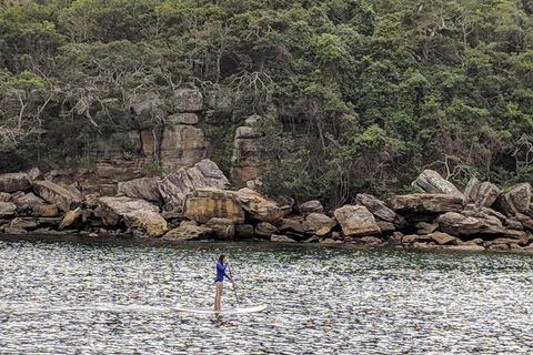Manly & Sydney's Northern Beaches With 'Personalised Sydney Tours' - Tourism TAS 3
