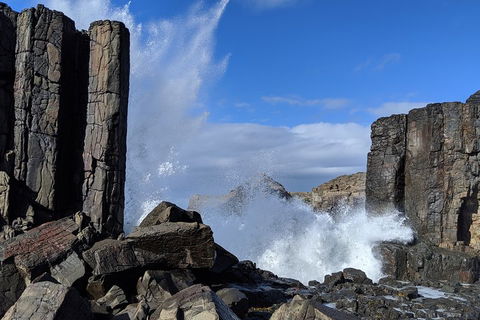 Erupting Blowholes And Ancient Rainforests With 'Personalised Sydney Tours' - Tourism TAS 0