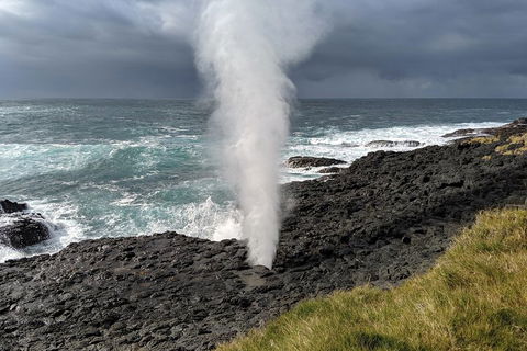 Erupting Blowholes And Ancient Rainforests With 'Personalised Sydney Tours' - Tourism TAS 1