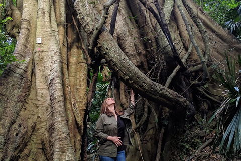 Erupting Blowholes And Ancient Rainforests With 'Personalised Sydney Tours' - Tourism TAS 4