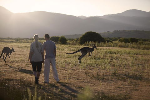 Overnight Daylesford And Macedon Ranges Gourmet Food Trail Tour From Melbourne - Hobart Tourism 1