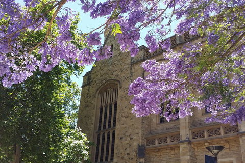 Cultural Caper Adelaide Walking Tour - Tourism TAS 1