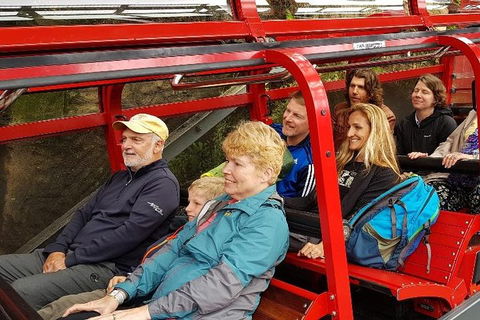 Blue Mountains Ultimate One-Day Tour - Hobart Tourism 0