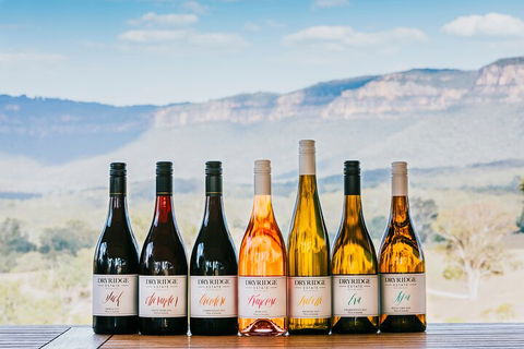 Taste Of The Blue Mountains - Lunch & Wine Tasting, Beer, Cider & Gin Tasting - Hobart Tourism 3