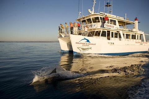 Jervis Bay Dolphin Watch Cruise - Tourism TAS 3