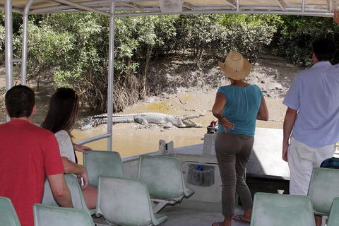 Whitsunday Crocodile Safari Including Lunch - Hobart Tourism 4