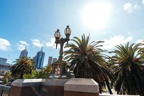 Highlights & Hidden Gems With Locals: Best Of Melbourne Private Tour - Tourism TAS 0