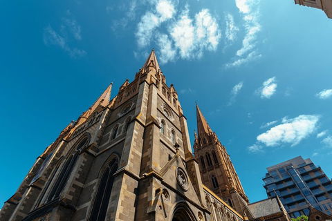 Highlights & Hidden Gems With Locals: Best Of Melbourne Private Tour - Tourism TAS 4