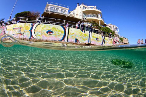 Bondi Like A Local: Half-Day Sightseeing Tour Including Surf Lesson - Hobart Tourism 4