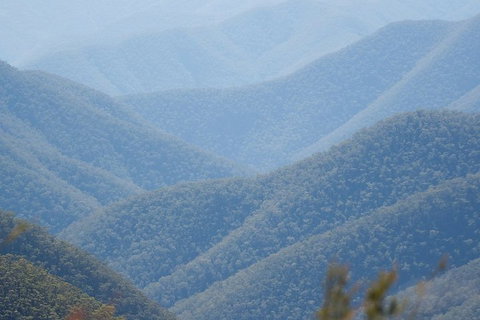 From The Mountains To The Bay - 4 Day Rediscovery Private Tour - Hobart Tourism 1