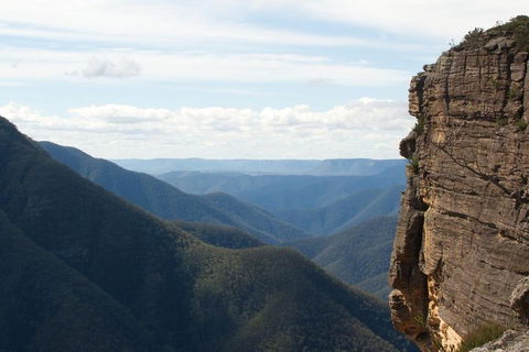 Inside The Greater Blue Mountains World Heritage - A Wildlife Safari Overnight - Tourism TAS 4