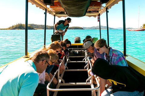 Airlie Beach Glass Bottom Boat Tour - Tourism TAS 1