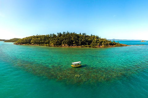 Airlie Beach Glass Bottom Boat Tour - Tourism TAS 3