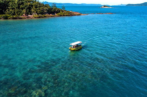 Airlie Beach Glass Bottom Boat Tour - Tourism TAS 4