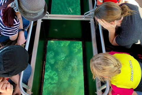 Airlie Beach Glass Bottom Boat Tour - Tourism TAS 5