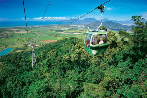 Skip The Line Kuranda Scenic Railway Gold Class And Skyrail Rainforest Cableway - Tourism TAS 3
