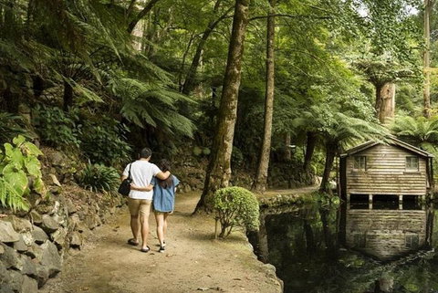 Discover Tour: Dandenong Ranges & William Ricketts Sanctuary - Tourism TAS 0