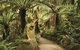 Discover Tour: Dandenong Ranges & William Ricketts Sanctuary - thumb 2